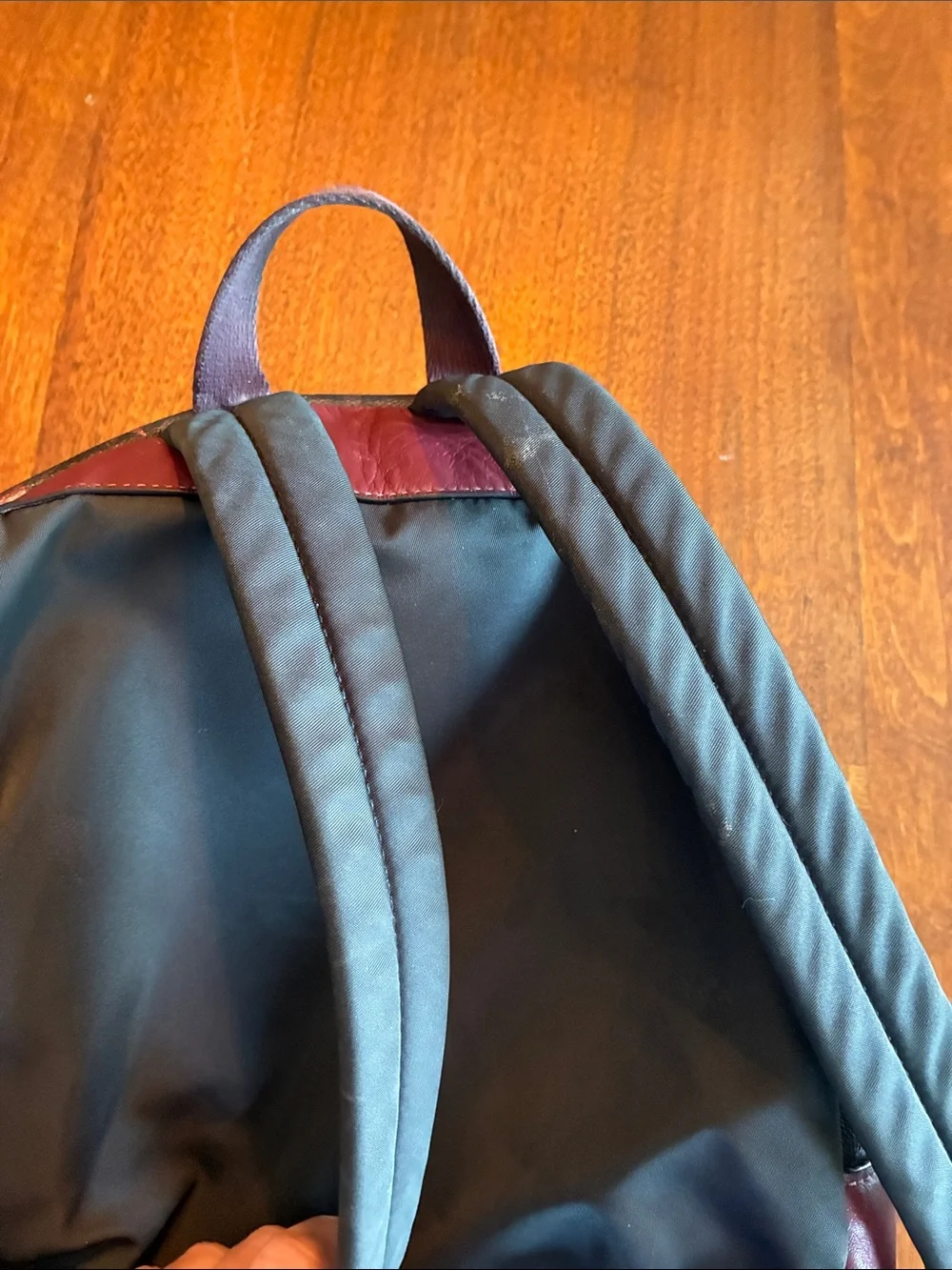 Coach backpack brown